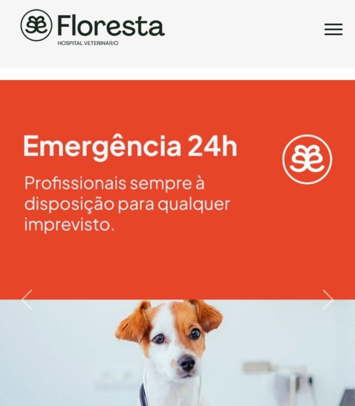 Case de SEO para Hospital Veterinário