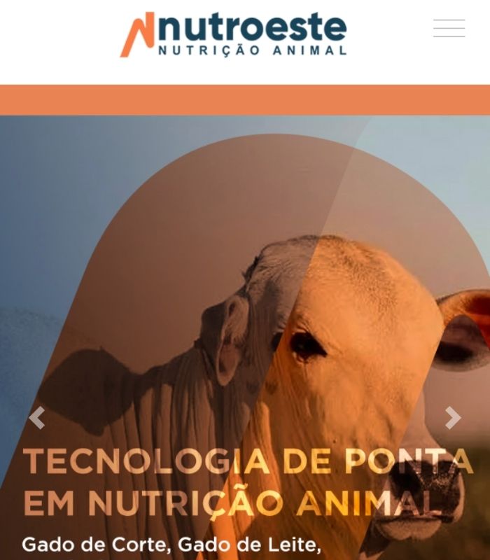 Criação de Website para Agronegócio